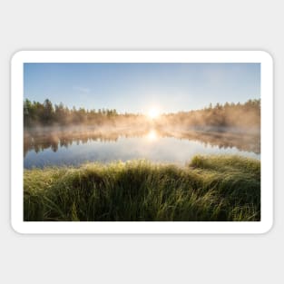 Sunrise at foggy forest lake Sticker